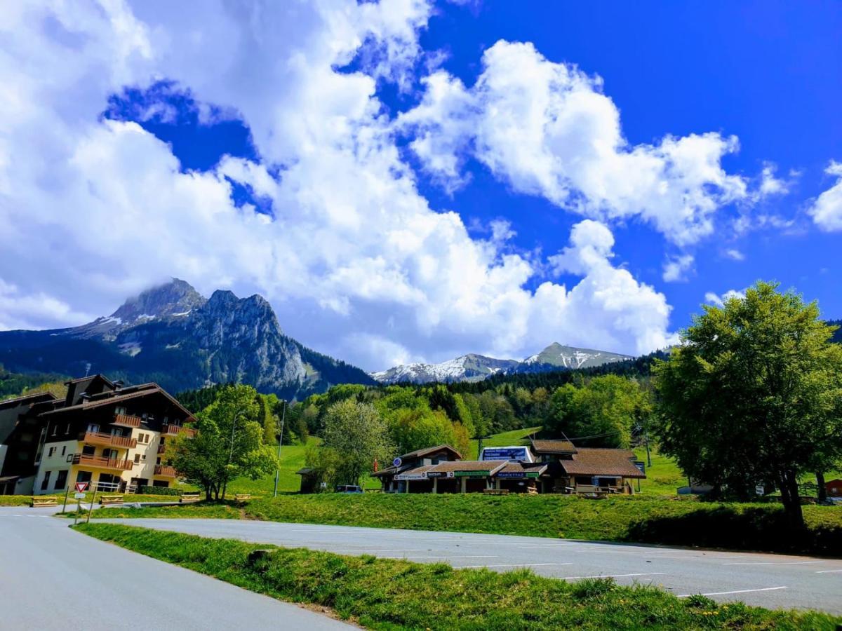 Le 67,Ski Et Randonnee,Lave Linge,Seche Linge,Parking Бернекс Экстерьер фото