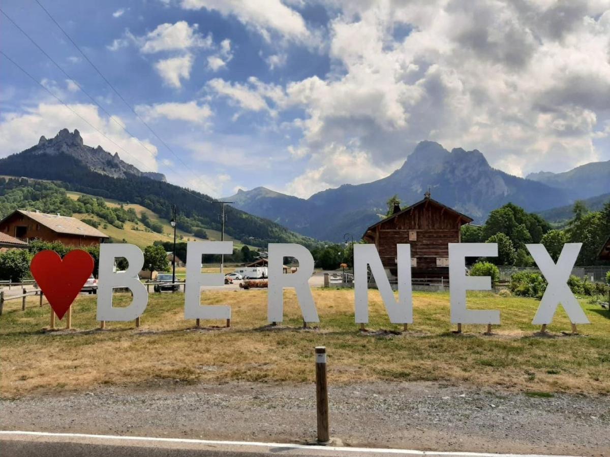 Le 67,Ski Et Randonnee,Lave Linge,Seche Linge,Parking Бернекс Экстерьер фото