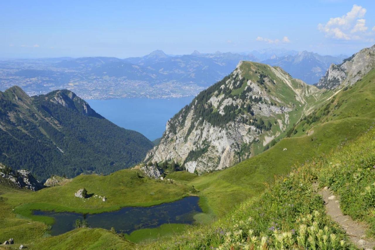 Le 67,Ski Et Randonnee,Lave Linge,Seche Linge,Parking Бернекс Экстерьер фото