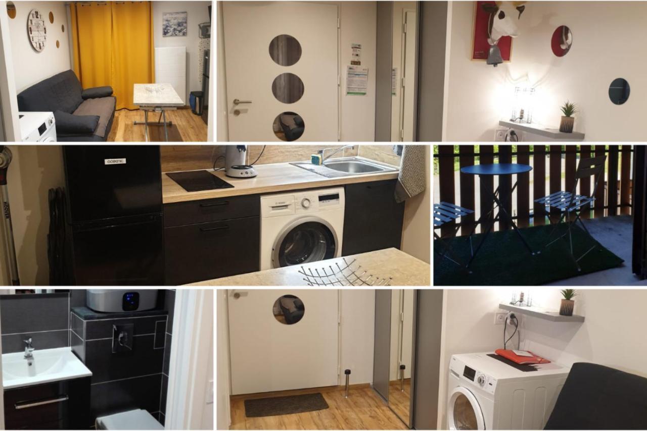Le 67,Ski Et Randonnee,Lave Linge,Seche Linge,Parking Бернекс Экстерьер фото