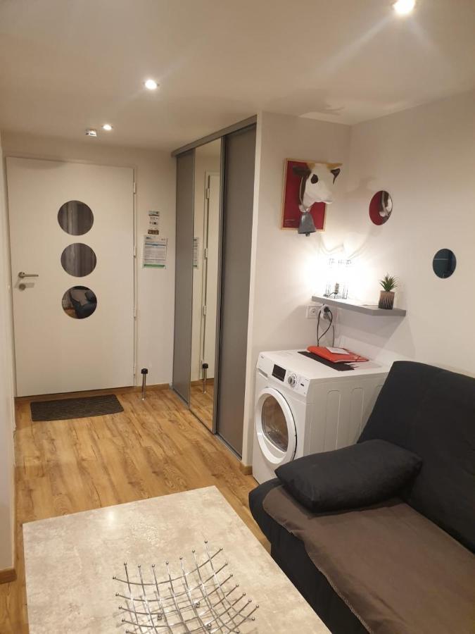 Le 67,Ski Et Randonnee,Lave Linge,Seche Linge,Parking Бернекс Экстерьер фото